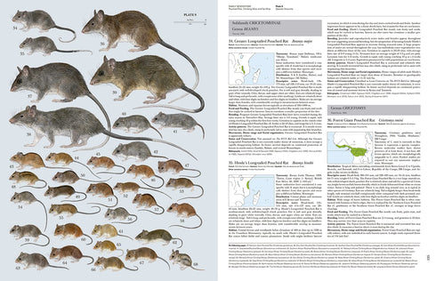 Handbook of the Mammals of the World no 7 - Rodents II -  Lynx 2017